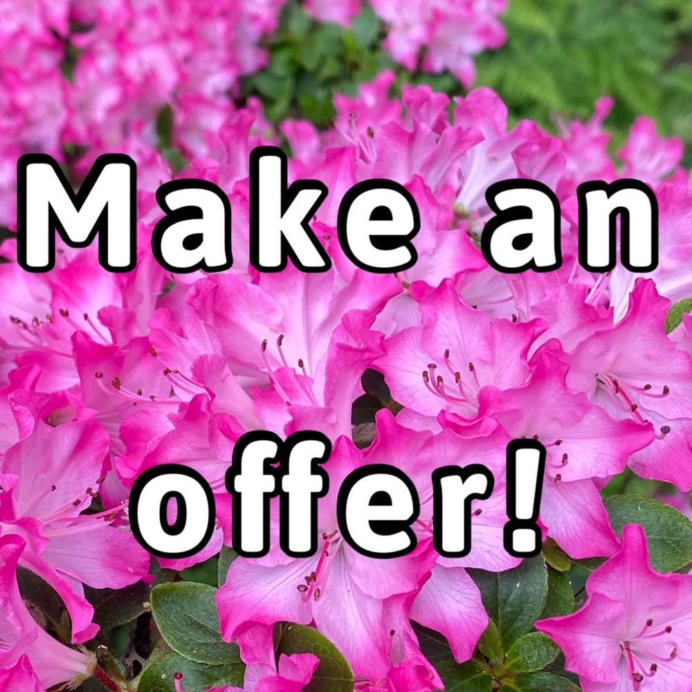 Make an offer! 😄